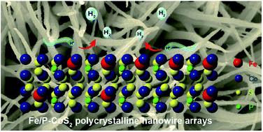 Graphical abstract: Fe/P dual doping boosts the activity and durability of CoS2 polycrystalline nanowires for hydrogen evolution