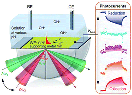 Graphical abstract: Energy-tunable photocatalysis by hot carriers generated by surface plasmon polaritons