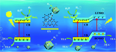 Graphical abstract: Few-layered 1T-MoS2-modified ZnCoS solid-solution hollow dodecahedra for enhanced photocatalytic hydrogen evolution