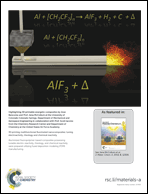 Graphical abstract: Back cover