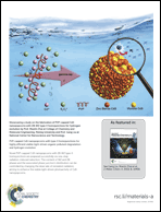 Graphical abstract: Back cover