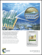 Graphical abstract: Back cover