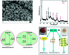 Graphical abstract: MoS2–ZnO nanocomposites as highly functional agents for anti-angiogenic and anti-cancer theranostics