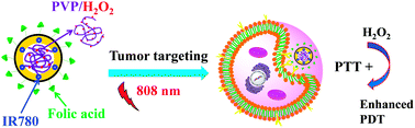 Graphical abstract: Near-infrared light triggered photothermal therapy and enhanced photodynamic therapy with a tumor-targeting hydrogen peroxide shuttle