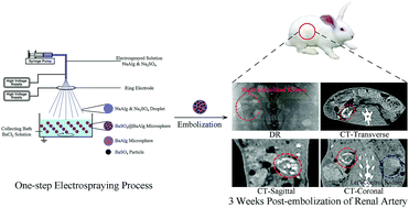 Graphical abstract: Fabrication of inherently radiopaque BaSO4@BaAlg microspheres by a one-step electrospraying method for embolization