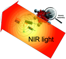 Graphical abstract: Assembled growth of 3D Fe3O4@Au nanoparticles for efficient photothermal ablation and SERS detection of microorganisms