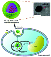 Graphical abstract: A core/shell stabilized polysaccharide-based nanoparticle with intracellular environment-sensitive drug delivery for breast cancer therapy