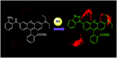 Graphical abstract: A rhodamine-based fast and selective fluorescent probe for monitoring exogenous and endogenous nitric oxide in live cells