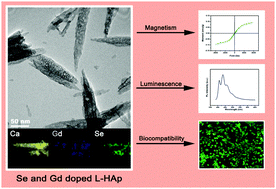 Graphical abstract: Engineering photoluminescent and magnetic lamellar hydroxyapatite by facile one-step Se/Gd dual-doping