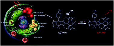 Graphical abstract: Dimeric BODIPY-loaded liposomes for dual hypoxia marker imaging and activatable photodynamic therapy against tumors