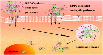 Graphical abstract: POSS-cored and peptide functionalized ternary gene delivery systems with enhanced endosomal escape ability for efficient intracellular delivery of plasmid DNA