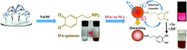 Graphical abstract: Diagnosis by simplicity: an aptachip for dopamine capture and accurate detection with a dual colorimetric and fluorometric system