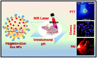 Graphical abstract: Prussian blue decorated mesoporous silica hybrid nanocarriers for photoacoustic imaging-guided synergistic chemo-photothermal combination therapy