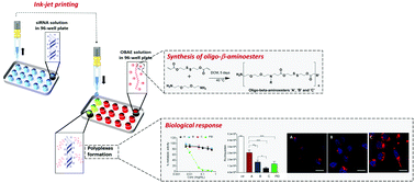Graphical abstract: Rapid formulation of redox-responsive oligo-β-aminoester polyplexes with siRNA via jet printing