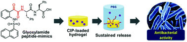 Graphical abstract: Glyoxylamide-based self-assembly hydrogels for sustained ciprofloxacin delivery