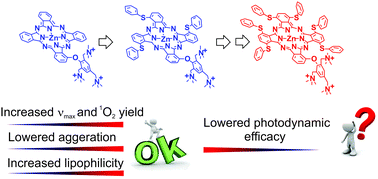 Graphical abstract: Breaching the wall: morphological control of efficacy of phthalocyanine-based photoantimicrobials