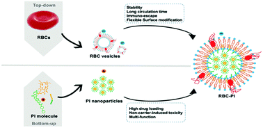 Graphical abstract: A polymer-free, biomimicry drug self-delivery system fabricated via a synergistic combination of bottom-up and top-down approaches