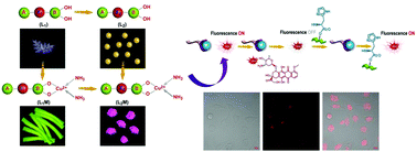 Graphical abstract: Self-assembly of a metallo-peptide into a drug delivery system using a “switch on” displacement strategy