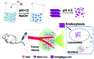 Graphical abstract: Facile synthesis of pH-responsive doxorubicin-loaded layered double hydroxide for efficient cancer therapy