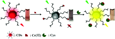 Graphical abstract: Carbon dots with red emission as a fluorescent and colorimeteric dual-readout probe for the detection of chromium(vi) and cysteine and its logic gate operation