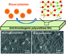 Graphical abstract: Enhancing anti-thrombogenicity of biodegradable polyurethanes through drug molecule incorporation