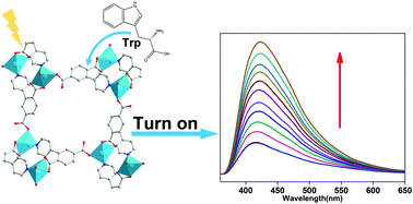 Graphical abstract: A luminescent turn-up metal–organic framework sensor for tryptophan based on singlet–singlet Förster energy transfer