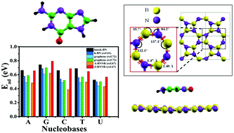 Graphical abstract: “Haeckelite”, a new low dimensional cousin of boron nitride for biosensing with ultra-fast recovery time: a first principles investigation