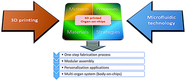 Graphical abstract: The crossing and integration between microfluidic technology and 3D printing for organ-on-chips