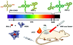 Graphical abstract: NIR organic dyes based on phenazine-cyanine for photoacoustic imaging-guided photothermal therapy