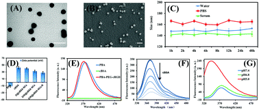 Graphical abstract: Design and self-assembly of albumin nanoclusters as a dynamic-covalent targeting co-delivery and stimuli-responsive controlled release platform