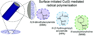 Graphical abstract: Optimisation of grafting of low fouling polymers from three-dimensional scaffolds via surface-initiated Cu(0) mediated polymerisation