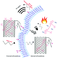 Graphical abstract: Targeted dual-mode imaging and phototherapy of tumors using ICG-loaded multifunctional MWCNTs as a versatile platform