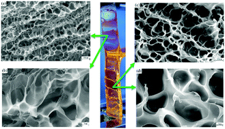 Graphical abstract: Controlled shape deformation of bilayer films with tough adhesion between nanocomposite hydrogels and polymer substrates