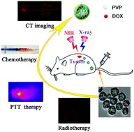 Graphical abstract: A novel theranostic agent based on porous bismuth nanosphere for CT imaging-guided combined chemo-photothermal therapy and radiotherapy