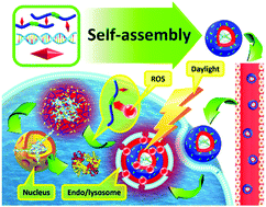 Graphical abstract: Near-infrared AIEgen-functionalized and diselenide-linked oligo-ethylenimine with self-sufficing ROS to exert spatiotemporal responsibility for promoted gene delivery