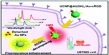 Graphical abstract: Developing a pH-sensitive Al(OH)3 layer-mediated UCNP@Al(OH)3/Au nanohybrid for photothermal therapy and fluorescence imaging in vivo