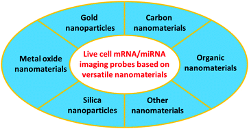 Graphical abstract: Recent progress in live cell mRNA/microRNA imaging probes based on smart and versatile nanomaterials