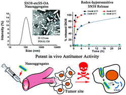 Graphical abstract: Hydrophobized SN38 to redox-hypersensitive nanorods for cancer therapy