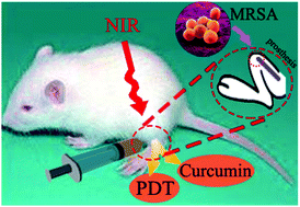 Graphical abstract: Dual antibacterial behavior of a curcumin–upconversion photodynamic nanosystem for efficient eradication of drug-resistant bacteria in a deep joint infection
