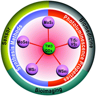 Graphical abstract: Transition metal dichalcogenide quantum dots: synthesis, photoluminescence and biological applications