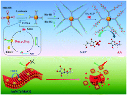 Graphical abstract: Dual-readout aptasensing of antibiotic residues based on gold nanocluster-functionalized MnO2 nanosheets with target-induced etching reaction