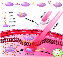 Graphical abstract: A ZnO-gated porphyrinic metal–organic framework-based drug delivery system for targeted bimodal cancer therapy