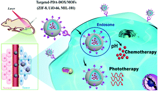 Graphical abstract: Stimuli-responsive multifunctional metal–organic framework nanoparticles for enhanced chemo-photothermal therapy