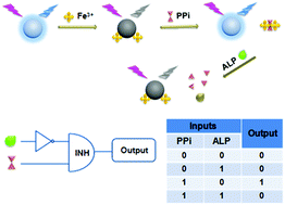 Graphical abstract: A rational strategy to develop a boron nitride quantum dot-based molecular logic gate and fluorescent assay of alkaline phosphatase activity