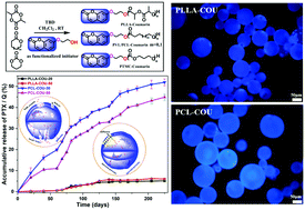 Graphical abstract: Development of biodegradable polyesters based on a hydroxylated coumarin initiator towards fluorescent visible paclitaxel-loaded microspheres