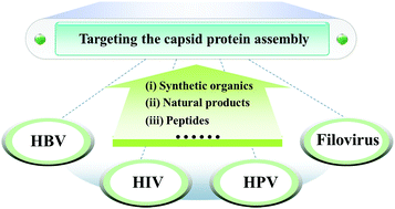 Graphical abstract: Anti-virus reagents targeting the capsid protein assembly