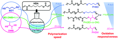 Graphical abstract: The polymerization kinetics, oxidation-responsiveness, and in vitro anticancer efficacy of poly(ester-thioether)s