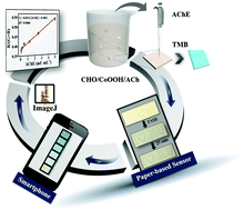 Graphical abstract: Sensitive colorimetric sensor for point-of-care detection of acetylcholinesterase using cobalt oxyhydroxide nanoflakes