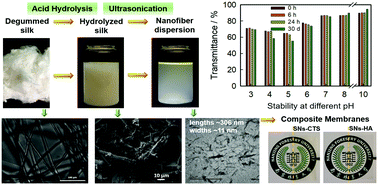 Graphical abstract: Preparation of natural amphoteric silk nanofibers by acid hydrolysis