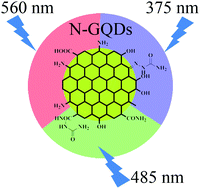 Graphical abstract: Electrochemical synthesis of multicolor fluorescent N-doped graphene quantum dots as a ferric ion sensor and their application in bioimaging